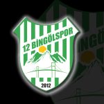 bingölspor logo