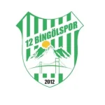 12-bingolspor-740x420-1