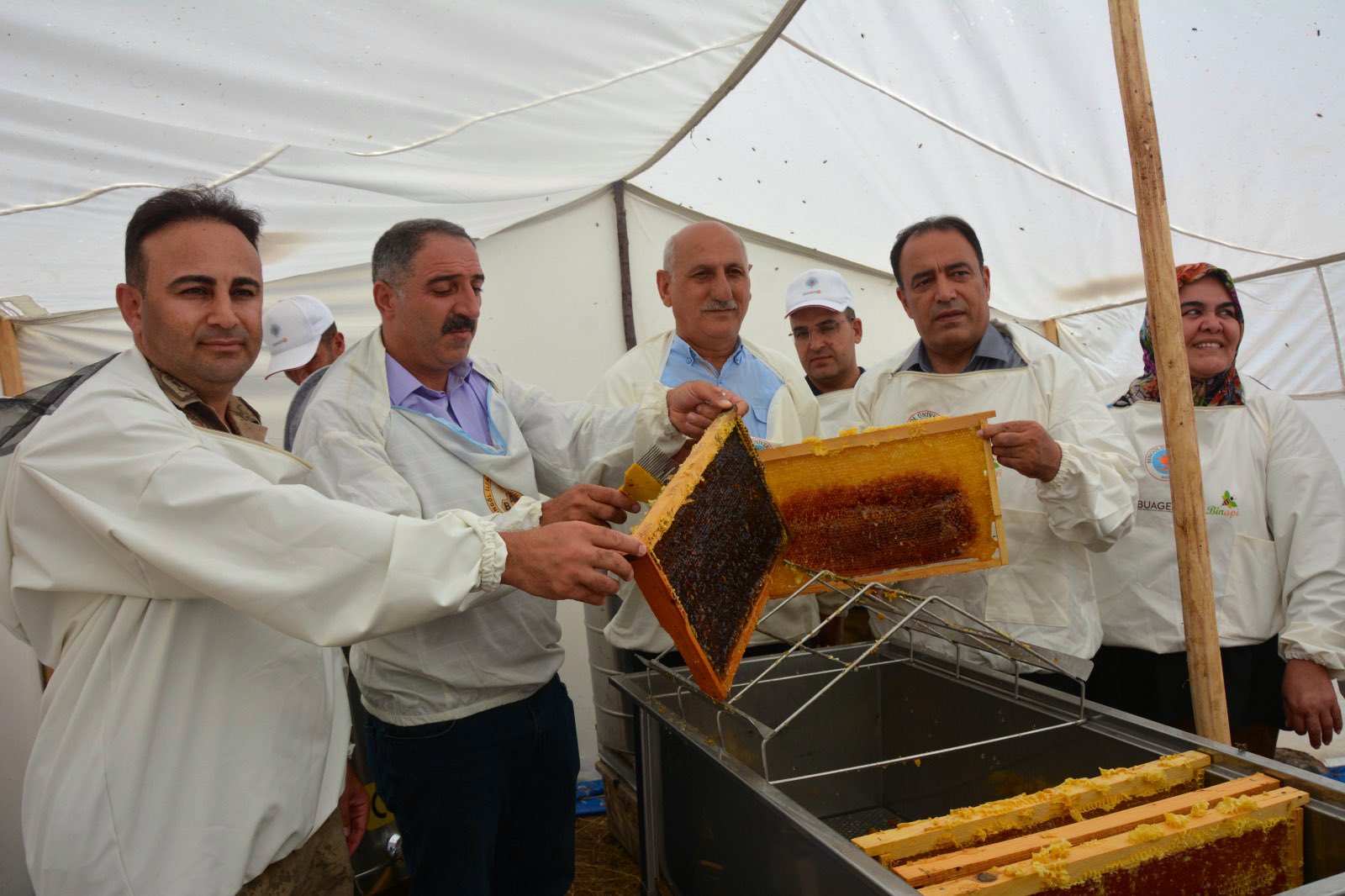 bingöl balı