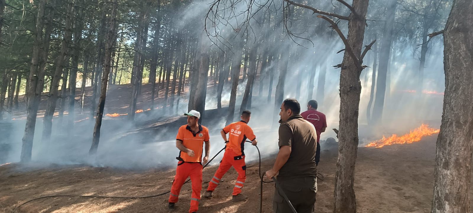 Yenimahalle’de Korkutan Orman Yangını Kontrol Altında
