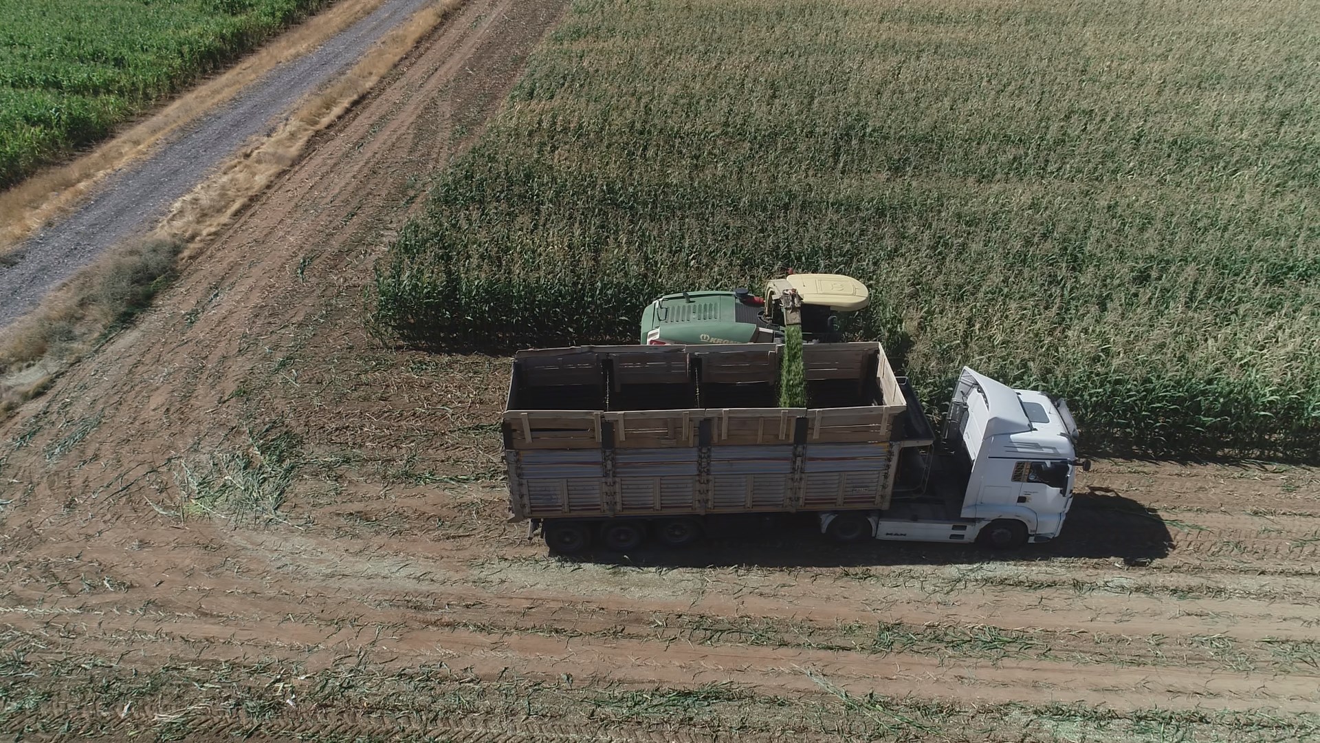 DJI_0040.MOV_snapshot_00.07.398