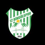 12BİNGÖLSPOR LOGO-BİNGOLGUNCELTV