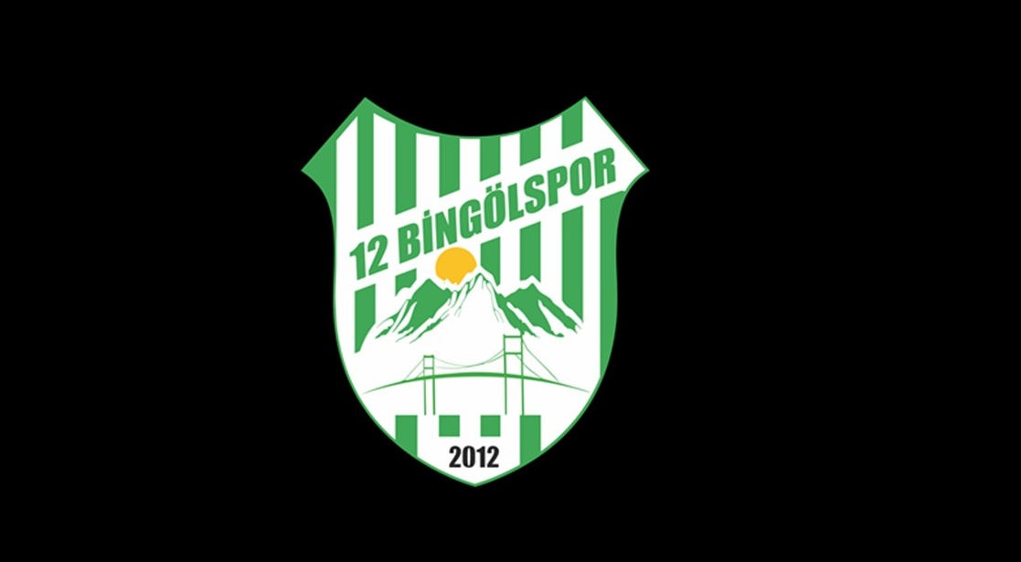 12BİNGÖLSPOR LOGO-BİNGOLGUNCELTV