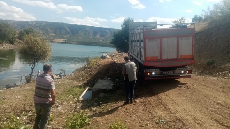 Bingöl’de 1.7 Milyon Yavru Sazan Balığı Suya Bırakıldı