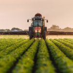agrofood