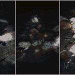 New Collage