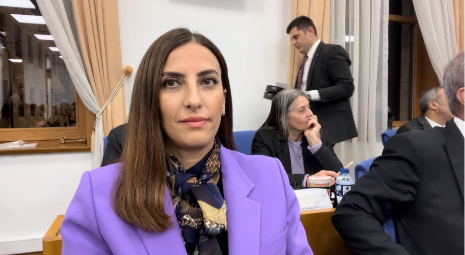 Rızvanoğlu: “Kömürden Çıkış Planı Olmadan Net Sıfır Emisyon Hedefi Gerçekleşemez”