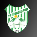 12 BİNGÖL