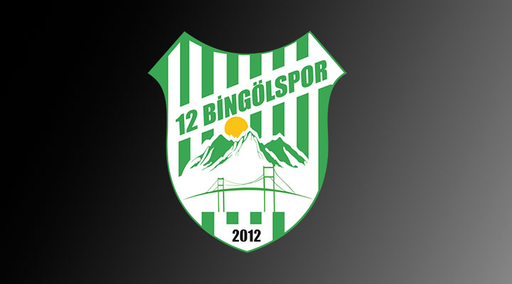 12 BİNGÖL