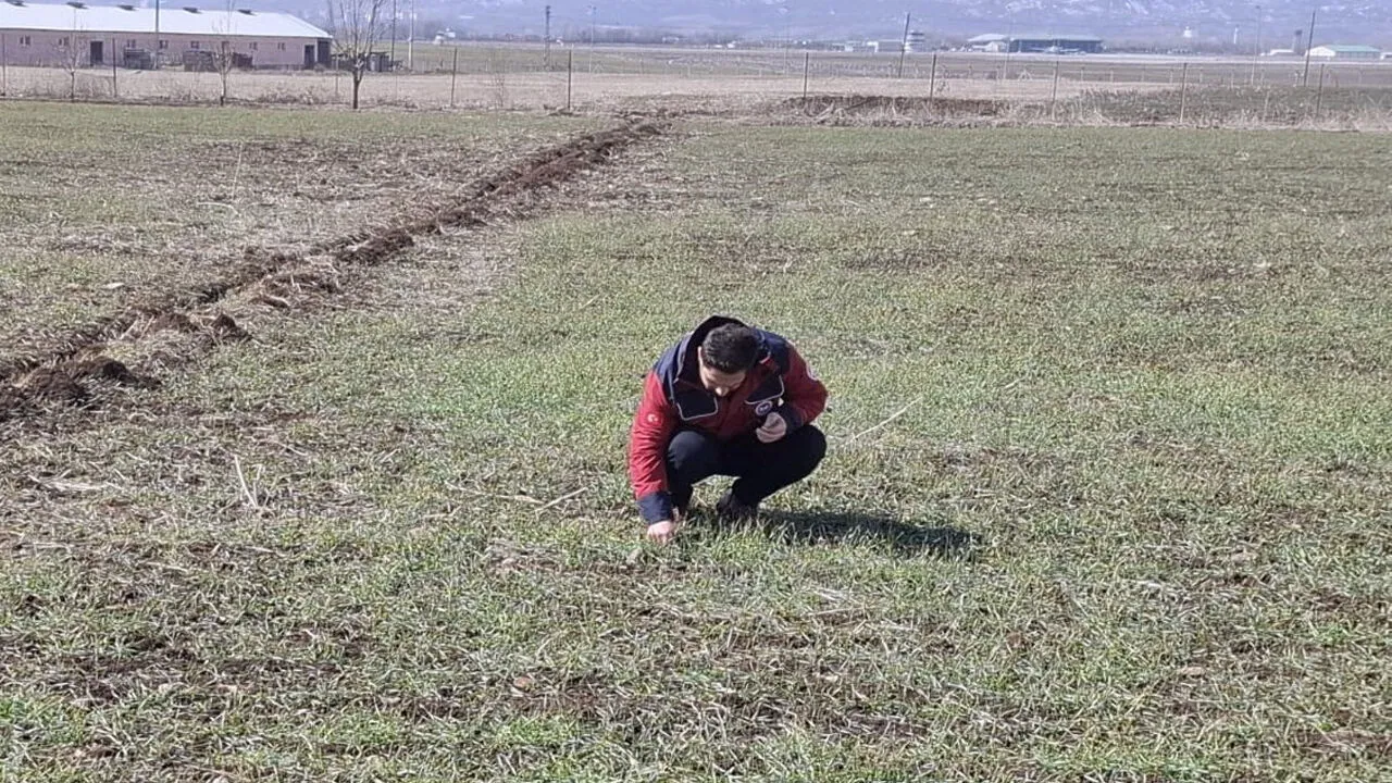 Bingöl’de Çiftçilere Gübreleme ve İlaçlama Konusunda Uyarı