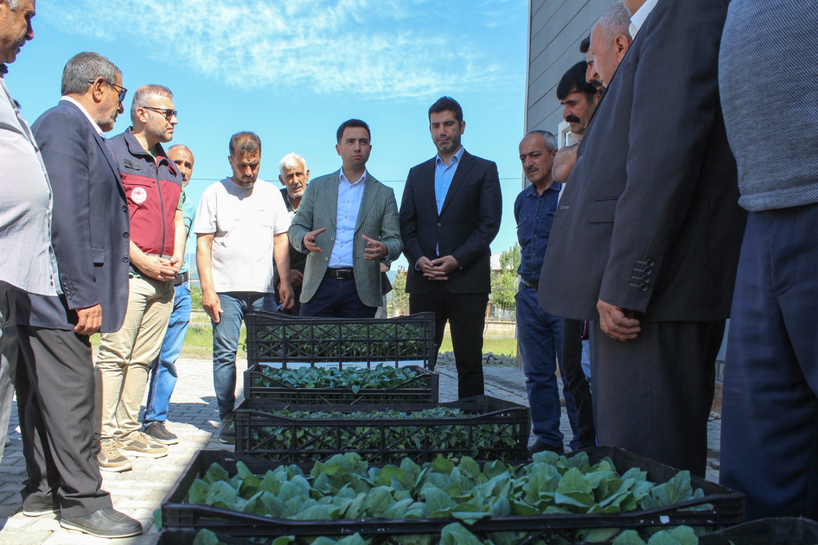 Genç İlçesinde Çiftçiye Domates, Biber, Patlıcan Fidesi