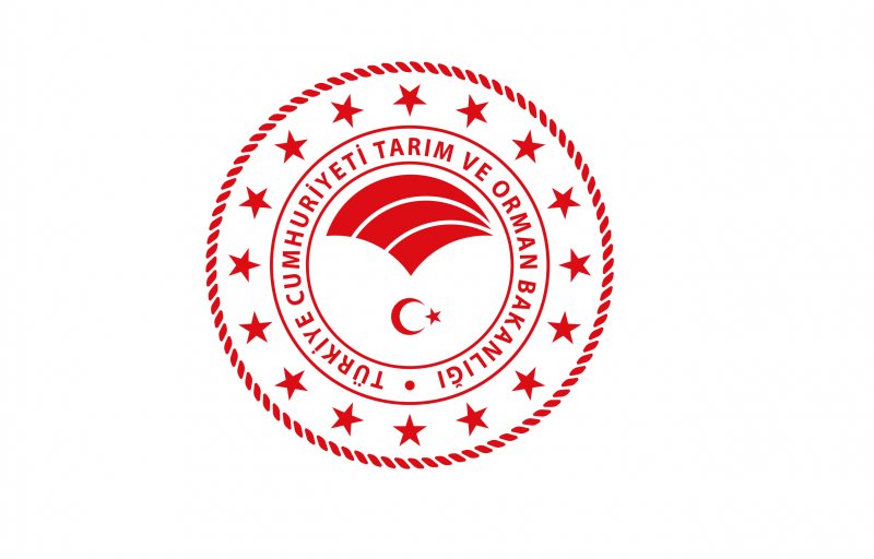 Başvuru Belgelerinde Hata Yapanlara Ek Süre Tanındı