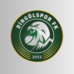 12 Bingölspor, 'Bingölspor FK' Oldu-