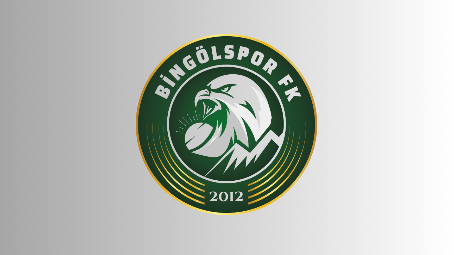 12 Bingölspor, ‘Bingölspor FK’ Oldu
