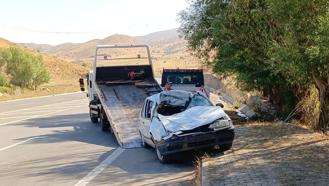 Bingöl Karlıova’da otomobil ineklere çarptı: 1 yaralı