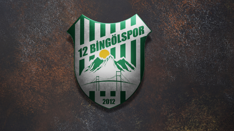 12 Bingölspor: “Siyaset Bizim Alanımız Değil”