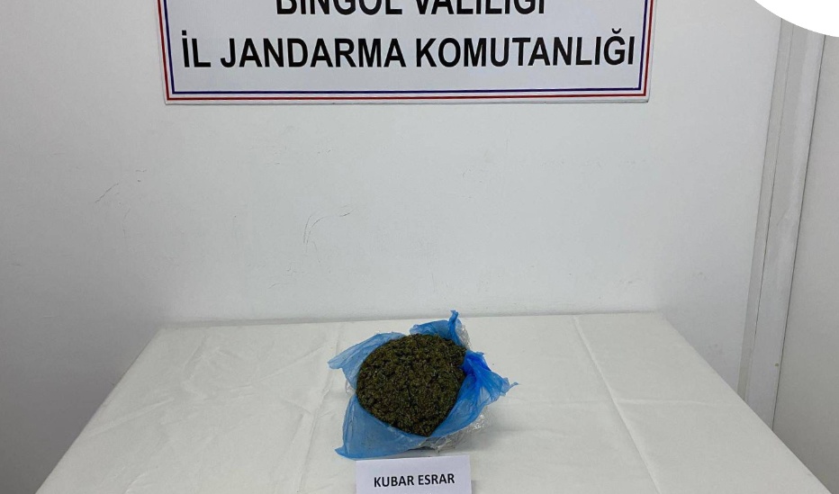 Bingöl’de 32 Şüpheli Yakalandı, 2’si Tutuklandı