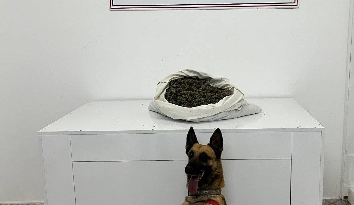 Bingöl’de Araçta 2 Kilo 802 Gram Esrar Ele Geçirildi: 1 Tutuklama