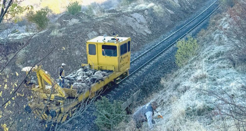 Bingöl’de tren koyun sürüsüne çarptı: 30 koyun telef oldu