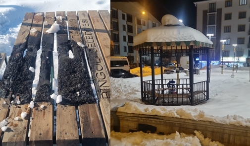 Kamelya ve piknik masası yakıldı