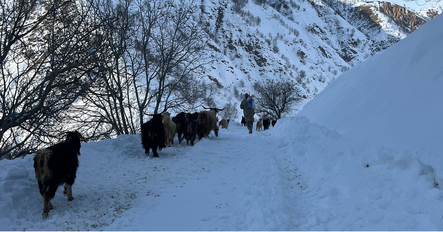 Tipide Mahsur Kalan Besici Kurtarıldı