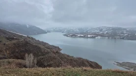 20260208_125933-scaled