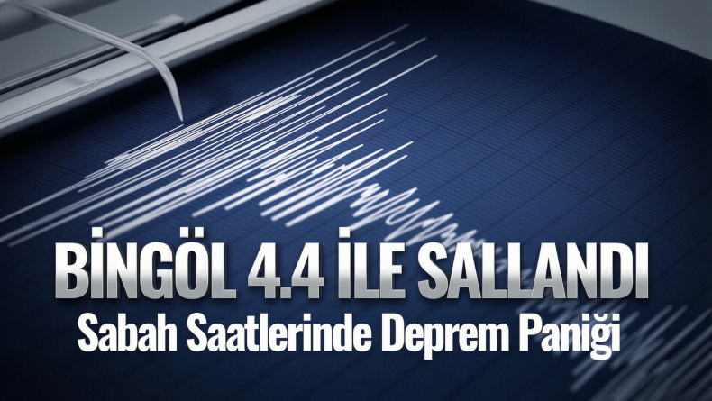 Bingöl 4.4 ile Sallandı
