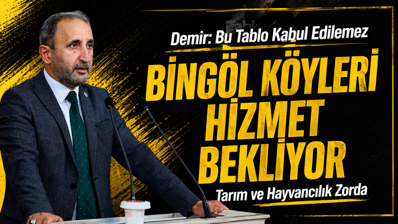 Demir: Bu Tablo Kabul Edilemez
