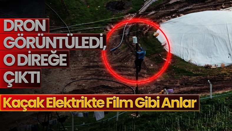 Dronu Görünce Direğe Tırmandı!