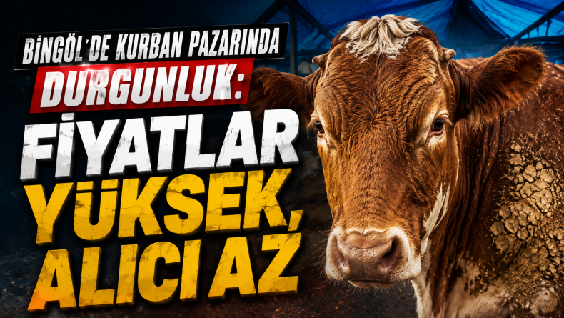 Bingöl’de Kurban Pazarında Durgunluk: Fiyatlar Yüksek, Alıcı Az