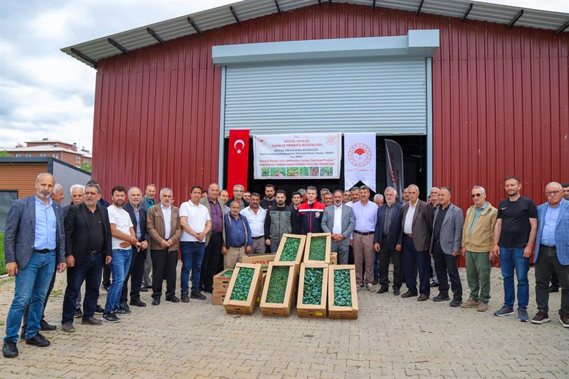 Bingöl’de 570 Çiftçiye Hibe Fide Desteği