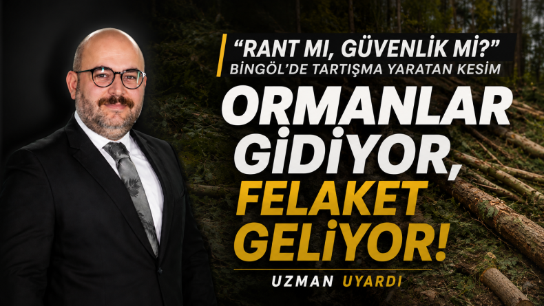 ‘Gençleştirme’ Adı Altında Orman Kıyımı İddiası