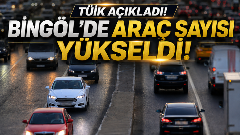 TÜİK Açıkladı! Bingöl’de Araç Sayısı Yükseldi