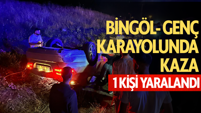 Bingöl-Genç Karayolunda Kaza: 1 Yaralı
