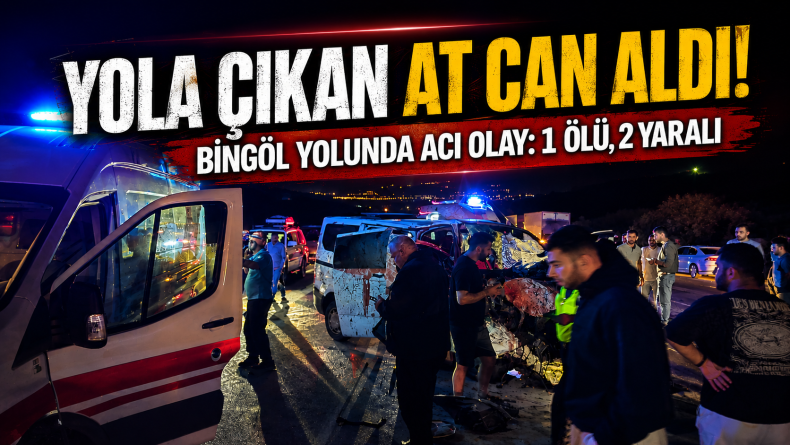 Bingöl Yolunda Acı Olay: 1 Ölü, 2 Yaralı