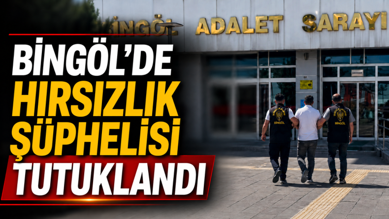 Bingöl’de Hırsızlık Şüphelisi Tutuklandı