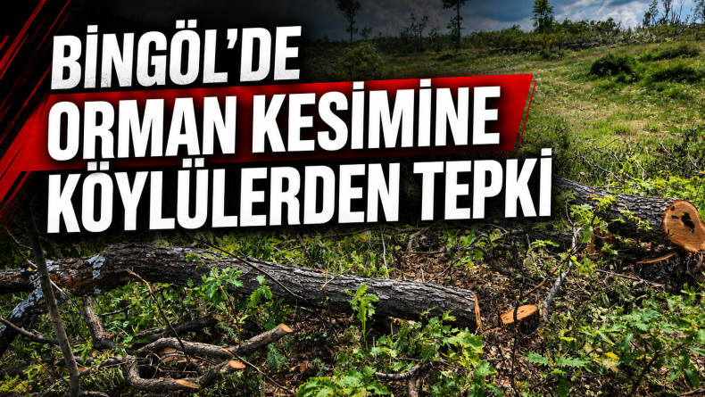 Bingöl’de Orman Kesimine Köylülerden Tepki
