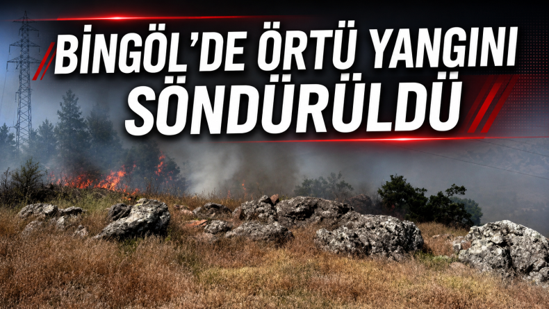 Bingöl’de örtü yangını söndürüldü