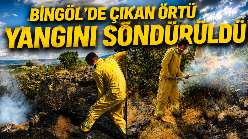 Bingöl’de çıkan örtü yangını söndürüldü