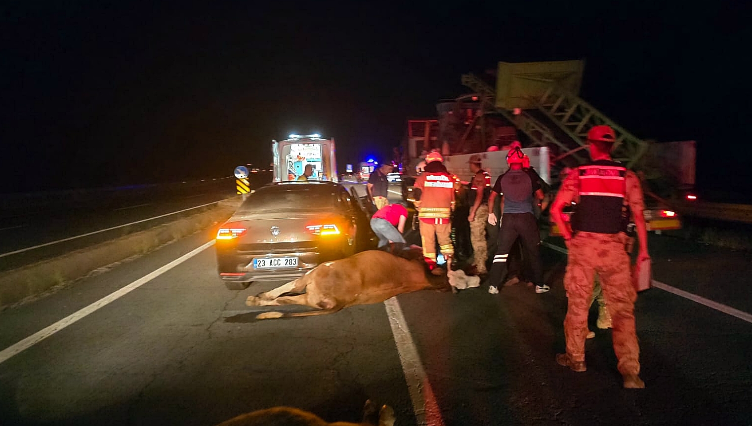 Yola Çıkan İnekler Kazaya Neden Oldu