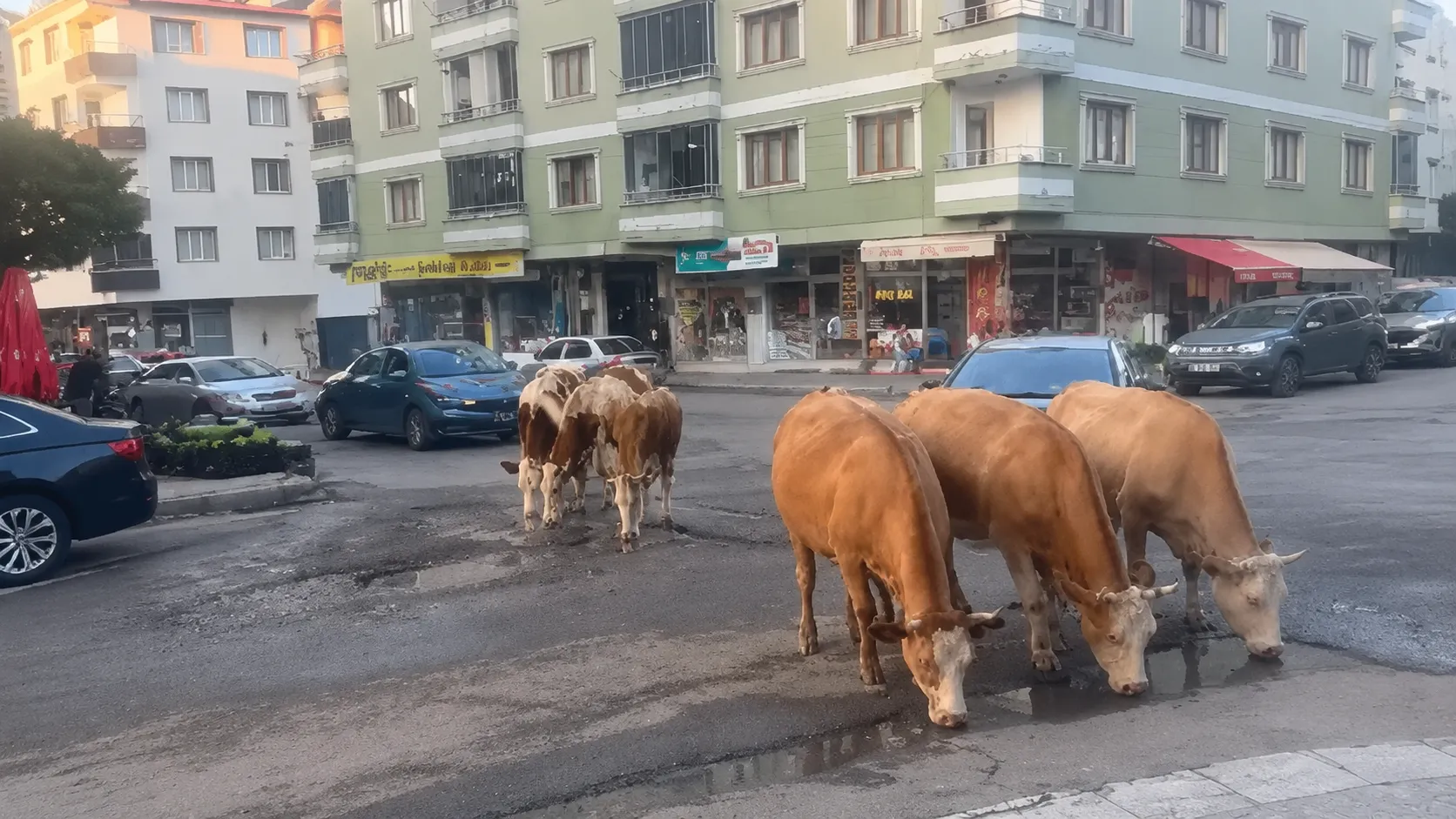 Bingöl’de “Hindistan” Manzarası