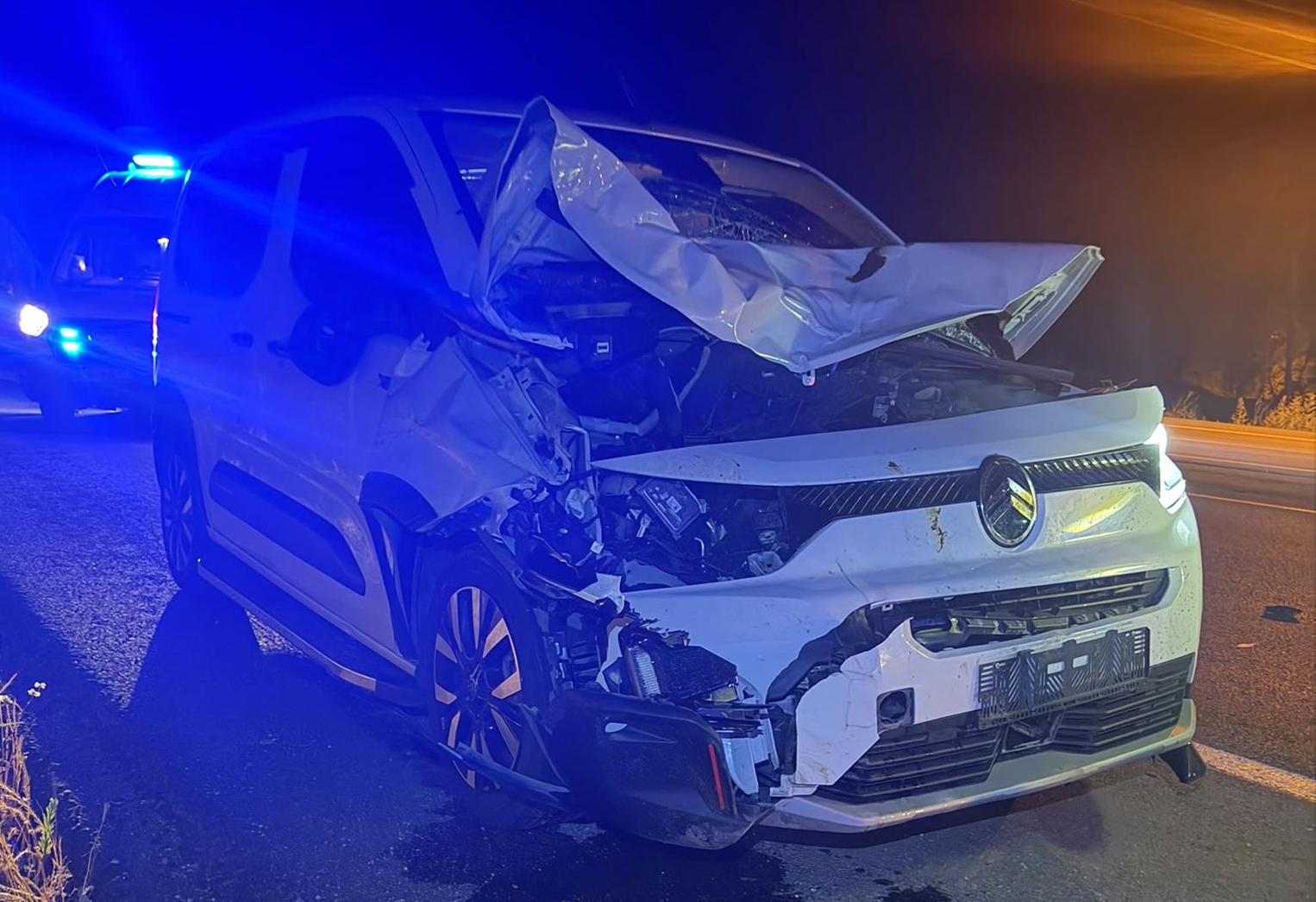 Bingöl’de İki Araç İneklere Çarptı: 2 Yaralı, 2 Hayvan Telef Oldu