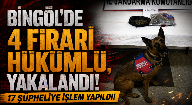 Bingöl’de 4 Firari Hükümlü Yakalandı, 17 Şüpheliye İşlem Yapıldı