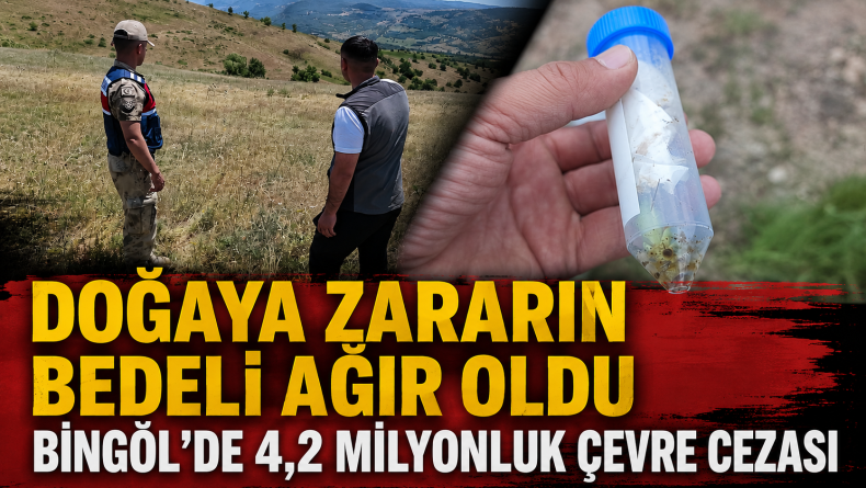 Doğayı Talan Edenlere Milyonluk Yaptırım