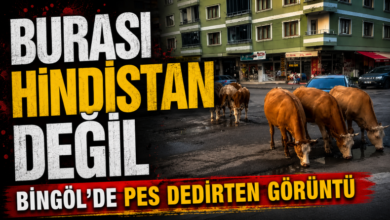 Bingöl’de “Hindistan” Manzarası