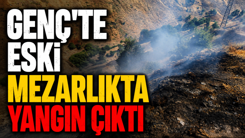 Bingöl’de Mezarlık Alevlere Teslim Oldu