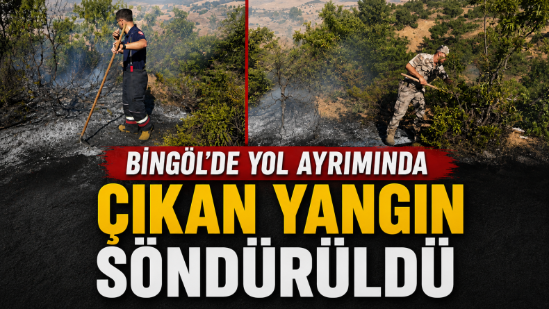 Bingöl’de Yol Ayrımında Çıkan Yangın Söndürüldü