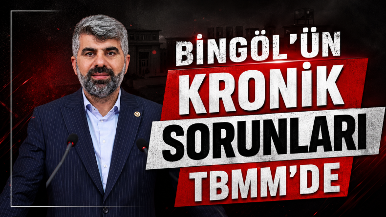Bingöl’ün Kronik Sorunları TBMM’de