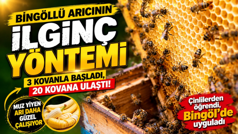 Çin’den Gördü, Bingöl’de Uyguladı