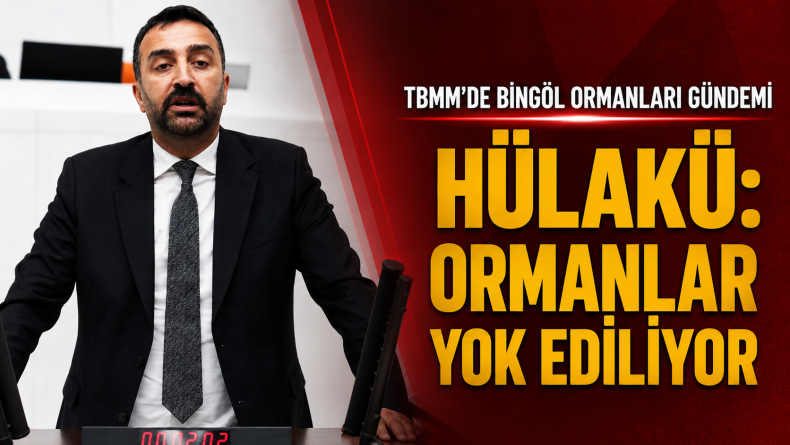 DEM Partili Hülakü: Bingöl’de Ormanlar Parça Parça Yok Ediliyor